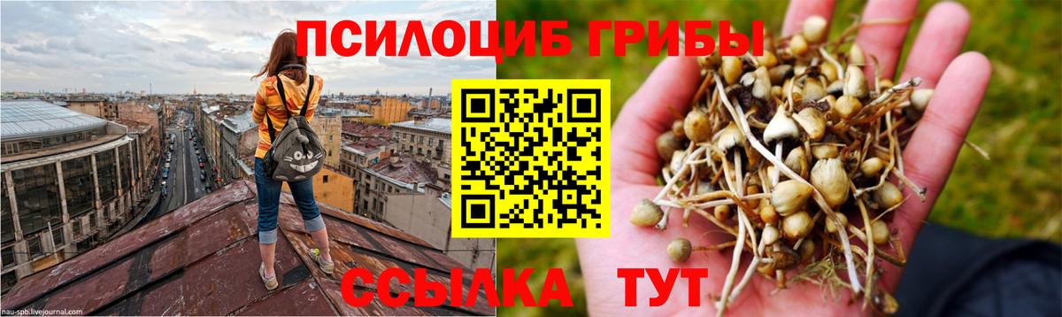 Белебей  Псилоцибиновые грибы GOLDEN TEACHER  Вход с VPN 
